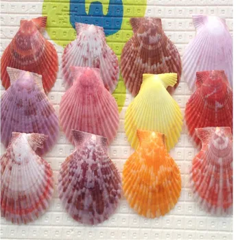 10pcs/Veľa Štýle Stredomoria Farebné Shell Conch Remesiel Surovín Dongfeng Shell Ručné Morských DIY Domáce Tichom Dekor 10