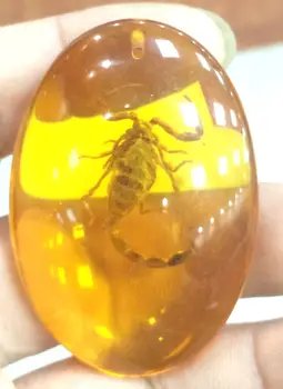 Certifikát Prírodné Mexickej Žltý včelí vosk Scorpion Prívesok 37*53*17 mm 17