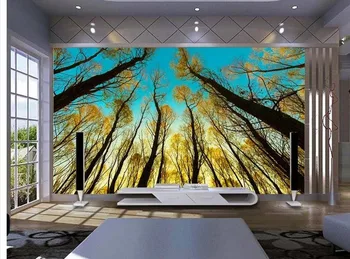 Domov vlastné Dekorácie 3d tapety západ Slnka lesa TV pozadie nástennú maľbu foto tapety