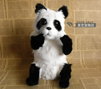simulácia veľké panda 25x21x38cm toy model polyetylénu&kožušín panda model domáce dekorácie, rekvizity ,model darček d155 4